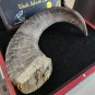 Extremely Rare! DC Universe Black Adam Original Screen Used Shield Horn Prop