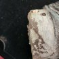 Extremely Rare! DC Universe Black Adam Original Screen Used Shield Horn Prop