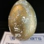 Jack and the Beanstalk The Real Story Original Screen Used Golden Egg Prop