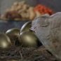 Jack and the Beanstalk The Real Story Original Screen Used Golden Egg Prop