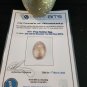 Jack and the Beanstalk The Real Story Original Screen Used Golden Egg Prop