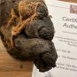 The Mummy Returns (2001) Original Production Used Mummy Costume Feet Movie Prop