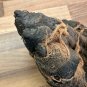 The Mummy Returns (2001) Original Production Used Mummy Costume Feet Movie Prop