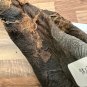 The Mummy Returns (2001) Original Production Used Mummy Costume Feet Movie Prop