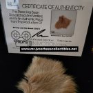 Walt Disney Beauty and the Beast Original Production Used Beast Hair Movie Prop Walt Disney Beauty and the Beast Original Production Used Beast Hair Movie Prop