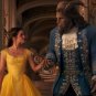 Walt Disney Beauty and the Beast Original Production Used Beast Hair Movie Prop