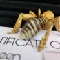 Rare! The Unborn 2009 Original Screen Used Bathroom Bug Insect Movie Prop