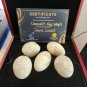 Extremely Rare! Apple TV Jane 2023 Original Screen Used Crocodile Eggs Prop Set