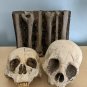 Extremely Rare! Cursed Netflix Series Original Screen Used Skulls and Bones Prop