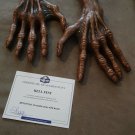 Extremely Rare! Hellfest Original Screen Used Zombie Arms with Hands Movie Props