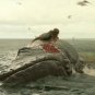 The Shallows 2016 Original Screen Used Piece of the Death Whale Movie Prop