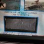 The Shallows 2016 Original Screen Used Piece of the Death Whale Movie Prop