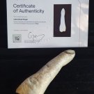 Extremely Rare! Wes Craven Pulse Original Screen Used Dead Finger Movie Prop