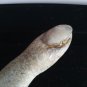 Extremely Rare! Wes Craven Pulse Original Screen Used Dead Finger Movie Prop