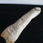 Extremely Rare! Wes Craven Pulse Original Screen Used Dead Finger Movie Prop