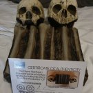 Extremely Rare! Cursed Netflix Original Screen Used Skulls and Bones Movie Prop
