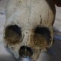 Extremely Rare! Cursed Netflix Original Screen Used Skulls and Bones Movie Prop