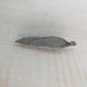 Extremely Rare! The Haunting of Bly Manor Original Screen Used Leech Movie Prop