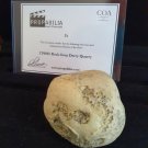 Extremely Rare! Stephen King IT Original Screen Used Rock Derry Movie Prop Extremely Rare! Stephen King IT Original Screen Used Rock Derry Movie Prop