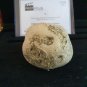 Extremely Rare! Stephen King IT Original Screen Used Rock Derry Movie Prop