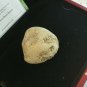 Extremely Rare! Stephen King IT Original Screen Used Rock Derry Movie Prop