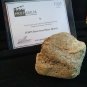 Extremely Rare! Stephen King IT Original Screen Used Throwing Rock Movie Prop