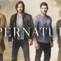 Supernatural (2005-2020) Original Production Used Ritual Animal Bone Movie Prop