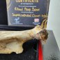 Supernatural (2005-2020) Original Production Used Ritual Animal Bone Movie Prop