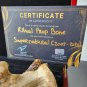 Supernatural (2005-2020) Original Production Used Ritual Animal Bone Movie Prop