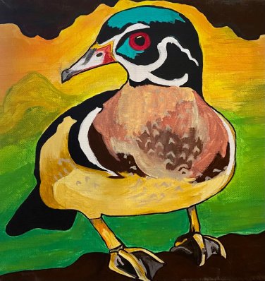 Duck