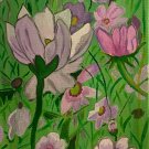 Purple and pink wildflowers