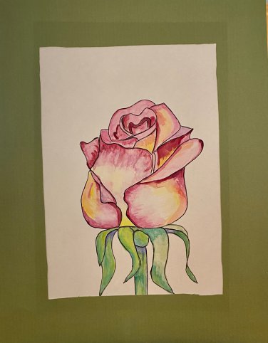 Rosebud