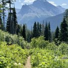 Glacier National Park