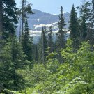 Glacier National Park