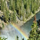 Yellowstone National Park River