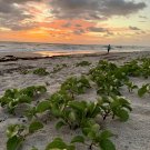 Sunrise on the Beach