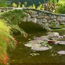 Botanical Garden Bridge