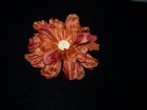 Autumn Flower 1
