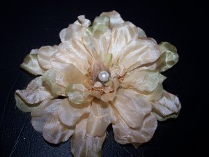 Autumn Flower 3