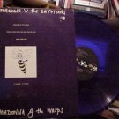 Robyn Hitchcock Madonna Of The Wasps Dj 12"