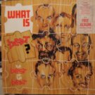 English Beat What Is Beat Uk Lp w Bonus Ext Mixes Ep