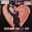 Dead Or Alive Come Home W Me Baby Usa 12"