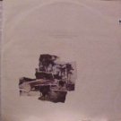 Danse Society 2000 Light Years From  Uk 12"