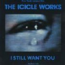 Icicle Works - I Still Want You  - UK 12" EP