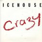 Icehouse - Crazy 2 mixes - UK 12"