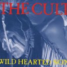 Cult - Wild Hearted Son - UK 12"