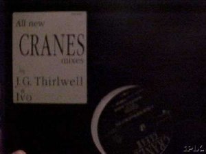 Cranes Clear Foetus & Ivo remixes Dj USA 12"