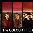Colourfield 12" 2 mixes, Sorry Terry Hall