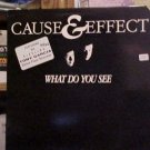 Cause & Effect What Do You See 6 mixes 12"