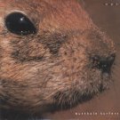 Butthole Surfurs - Pepper 1 track SEALED - US DJ 12"